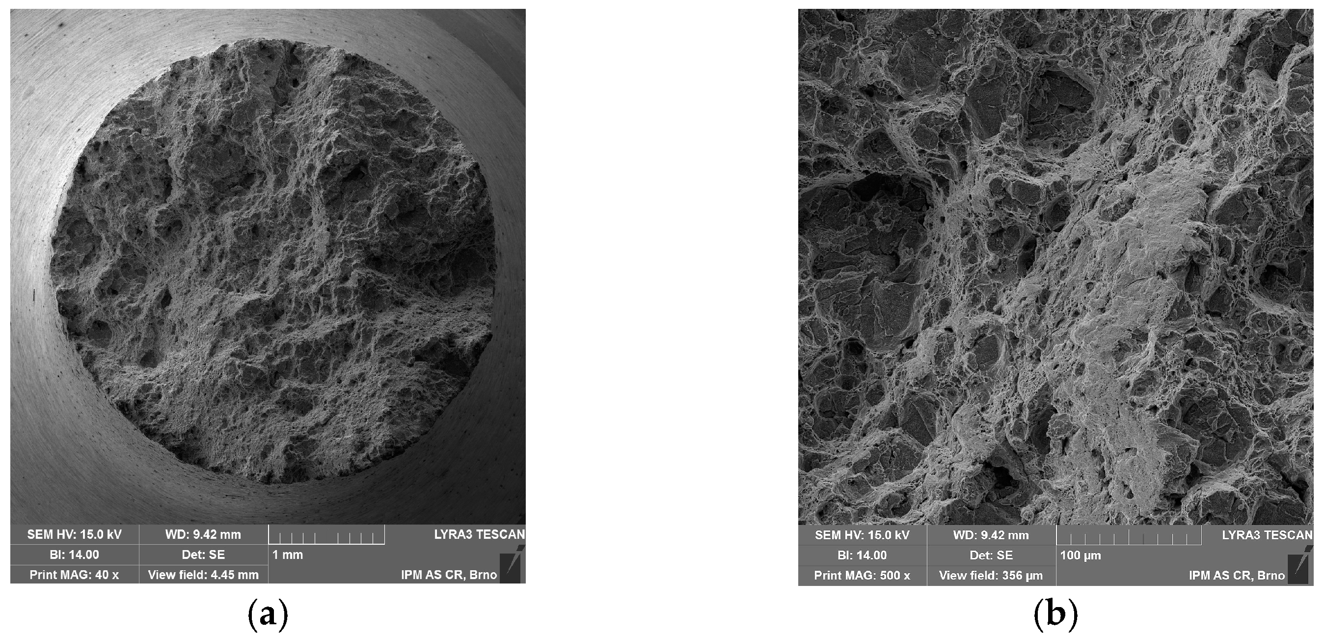 Materials 11 00142 g011