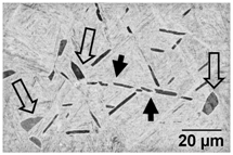 Materials 11 00146 i010