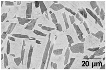 Materials 11 00146 i011