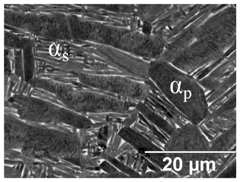 Materials 11 00146 i013