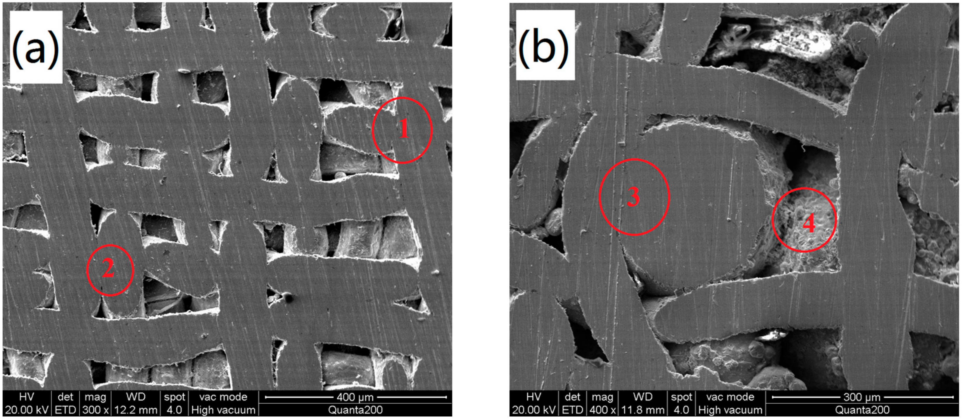 Materials 11 00156 g003