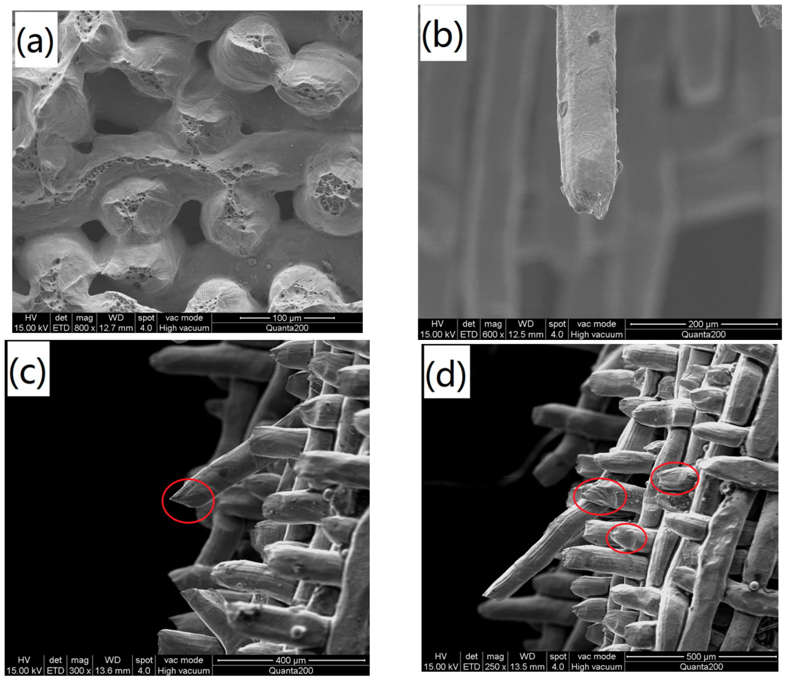 Materials 11 00156 g006