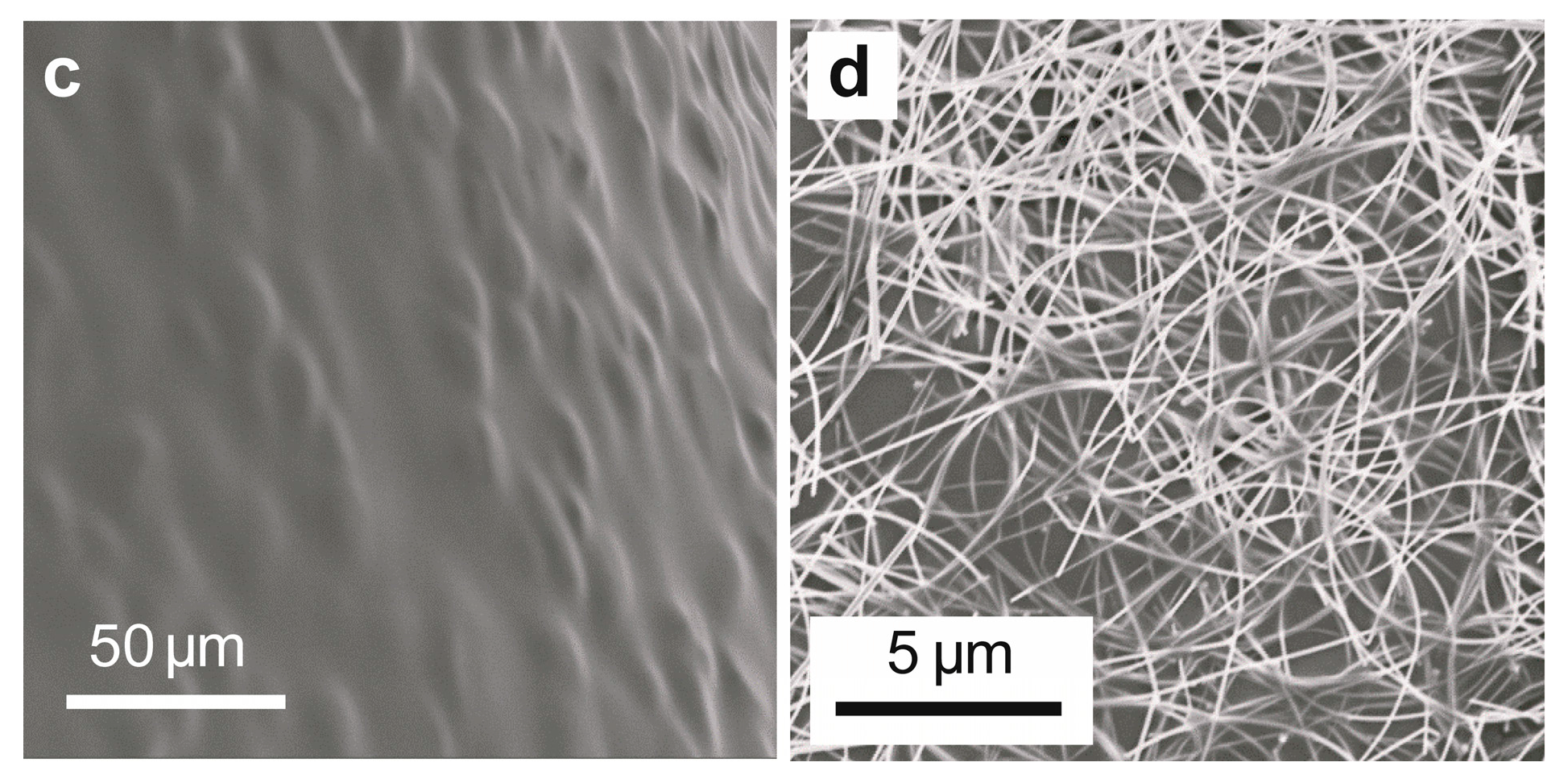 Materials 11 00184 g002b Materials 11 00184 g002b