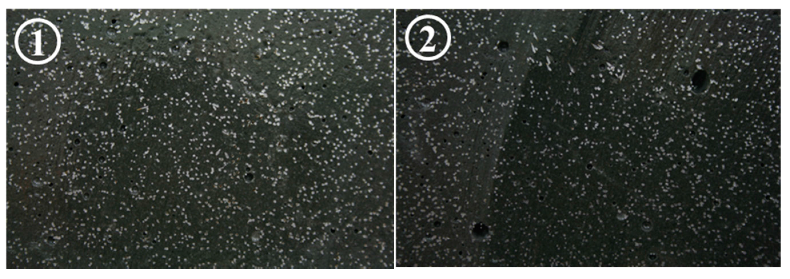 Materials 11 00194 g008a