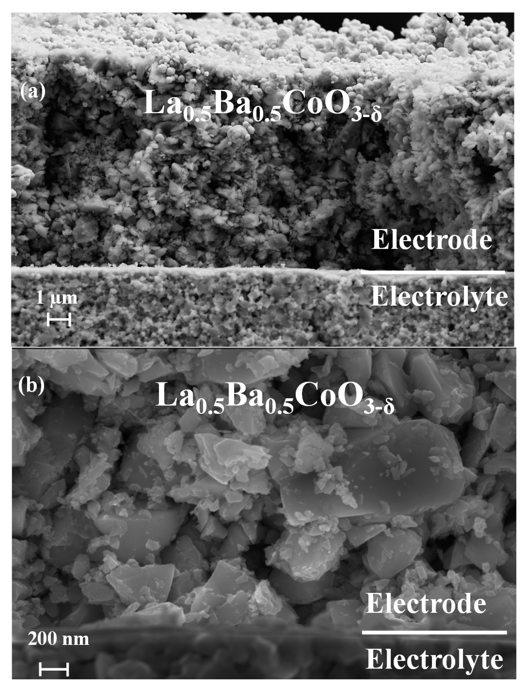 Materials 11 00196 g001