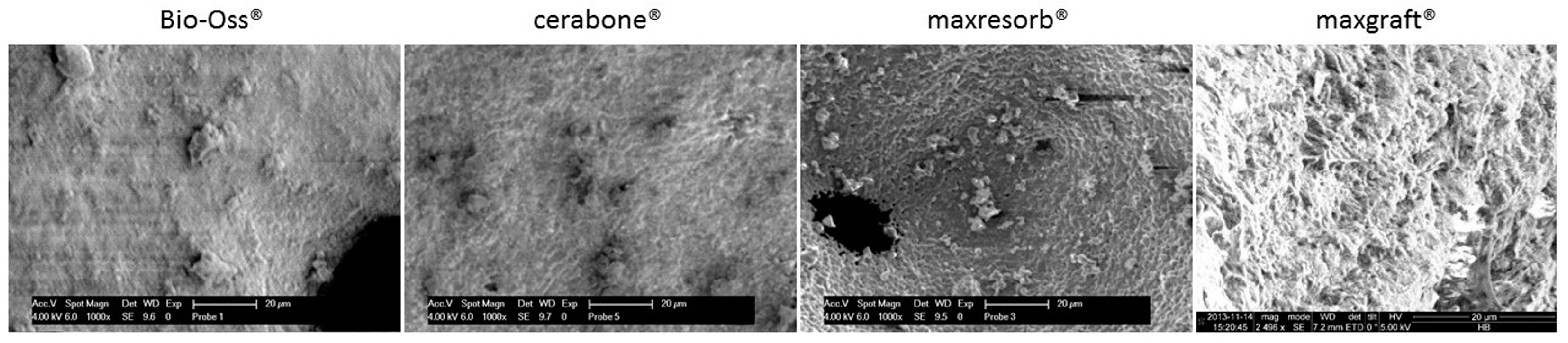 Materials 11 00215 g010