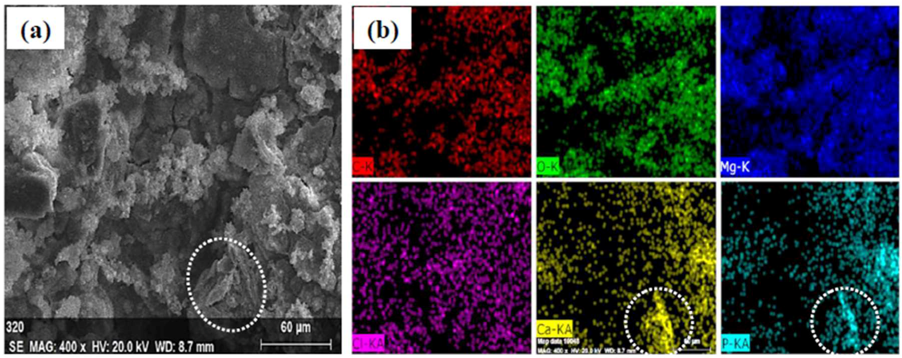 Materials 11 00227 g007