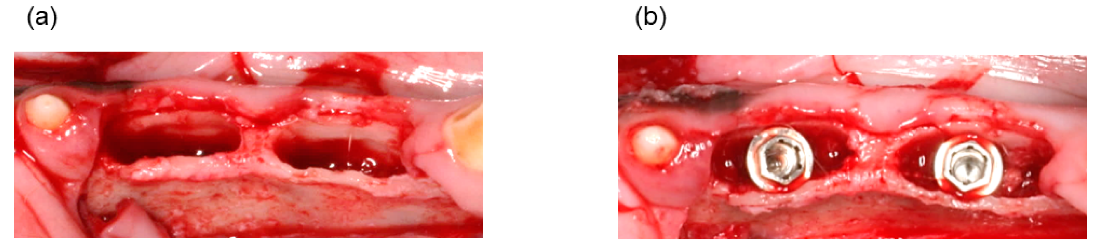 Materials 11 00229 g002a