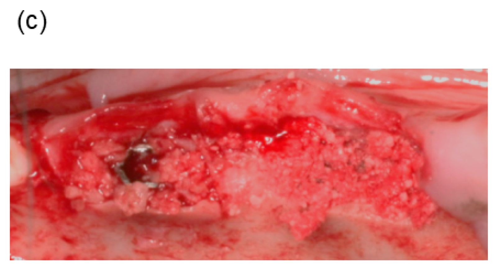 Materials 11 00229 g002b