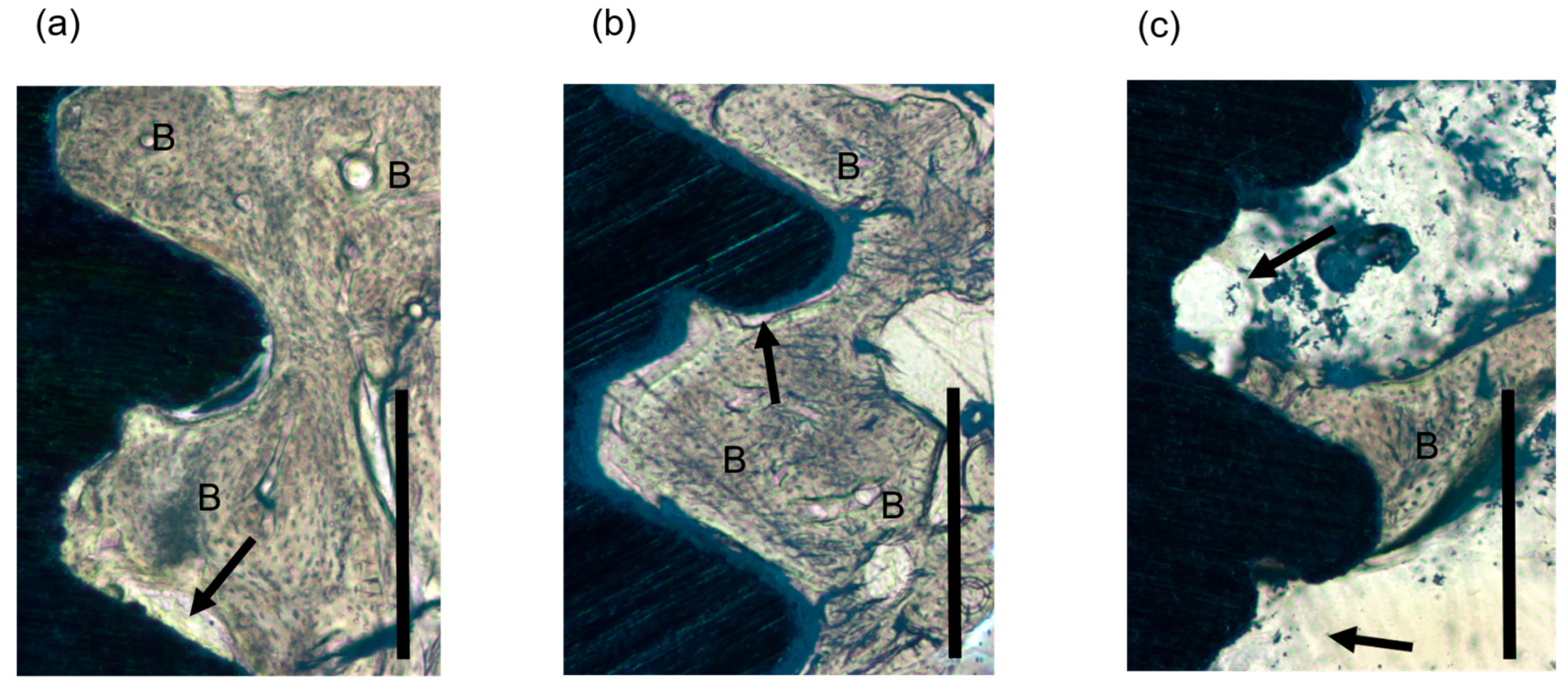 Materials 11 00229 g005