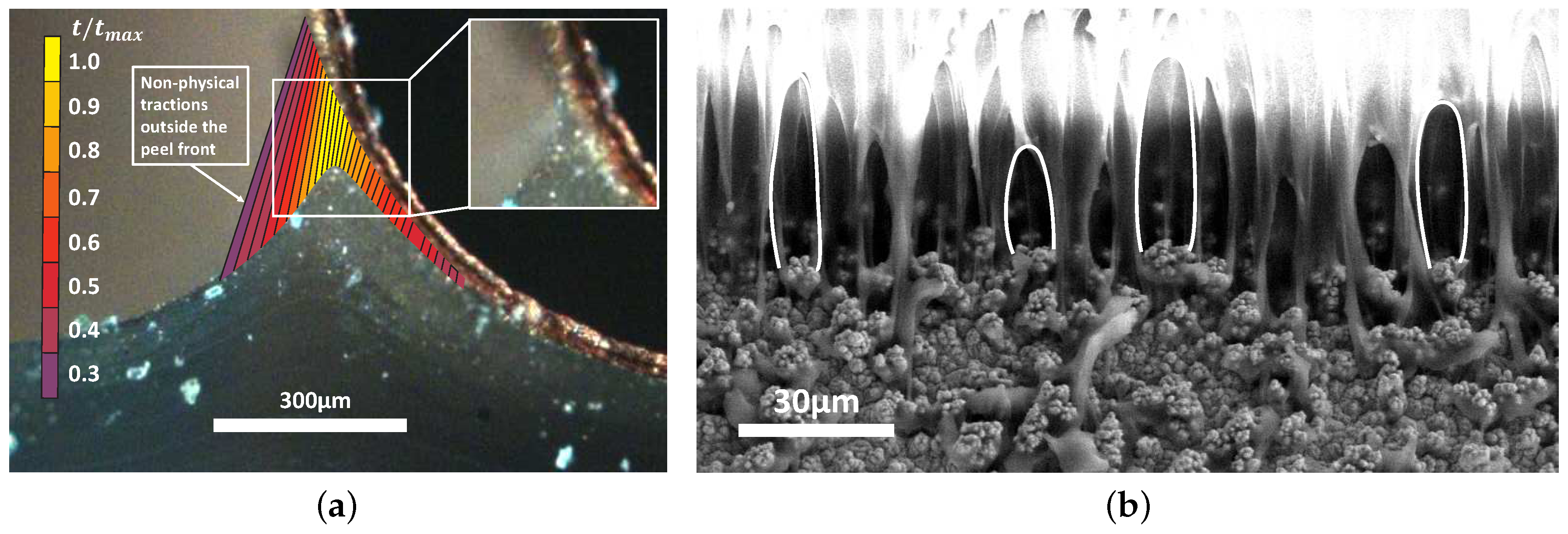 Materials 11 00231 g002 Materials 11 00231 g002