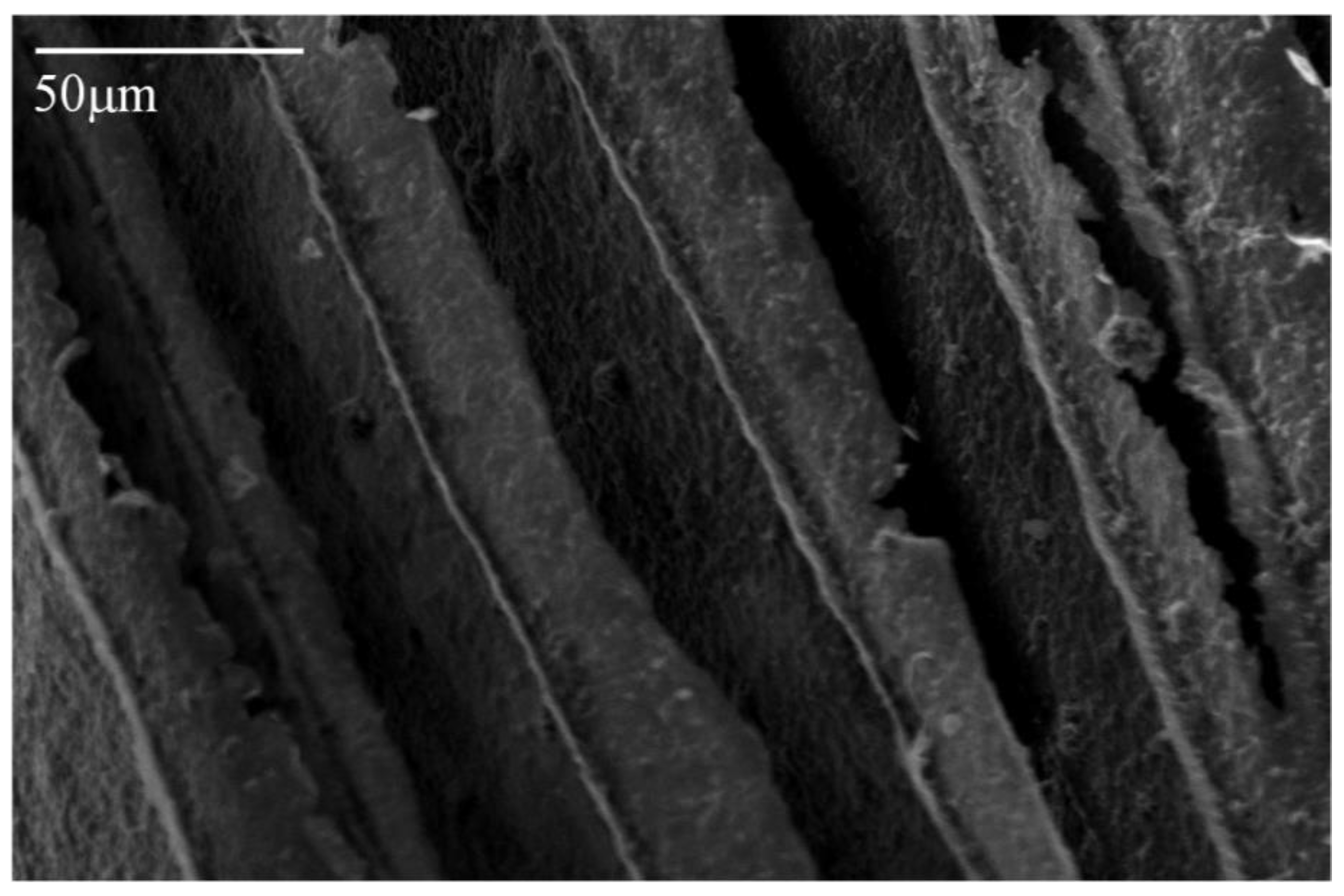 Materials 11 00233 g002