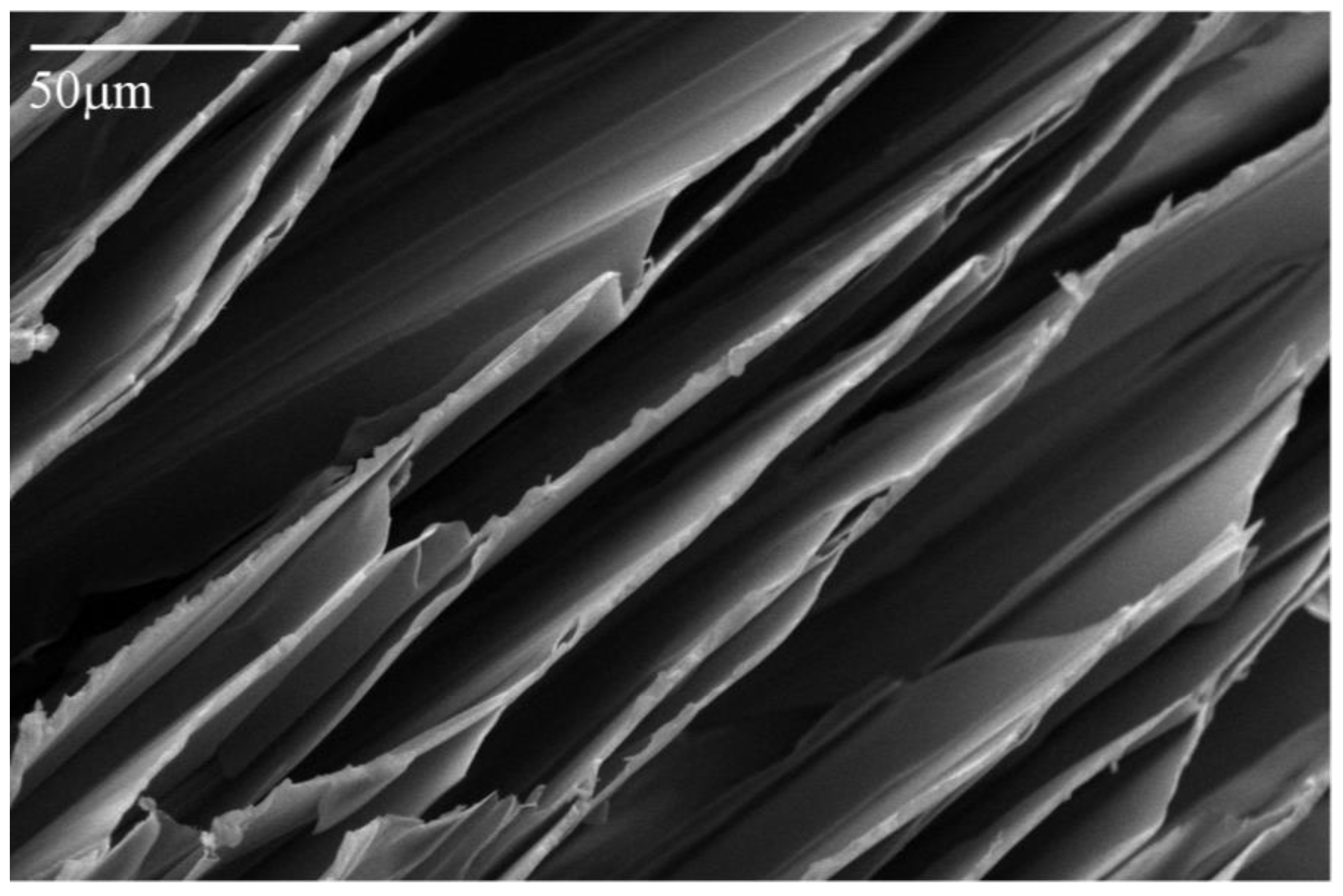 Materials 11 00233 g007