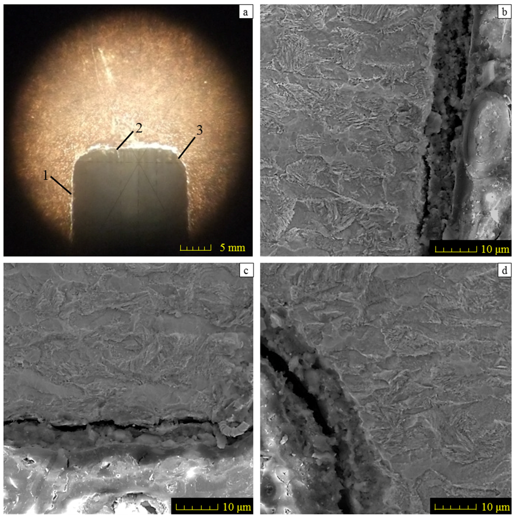 Materials 11 00237 g003