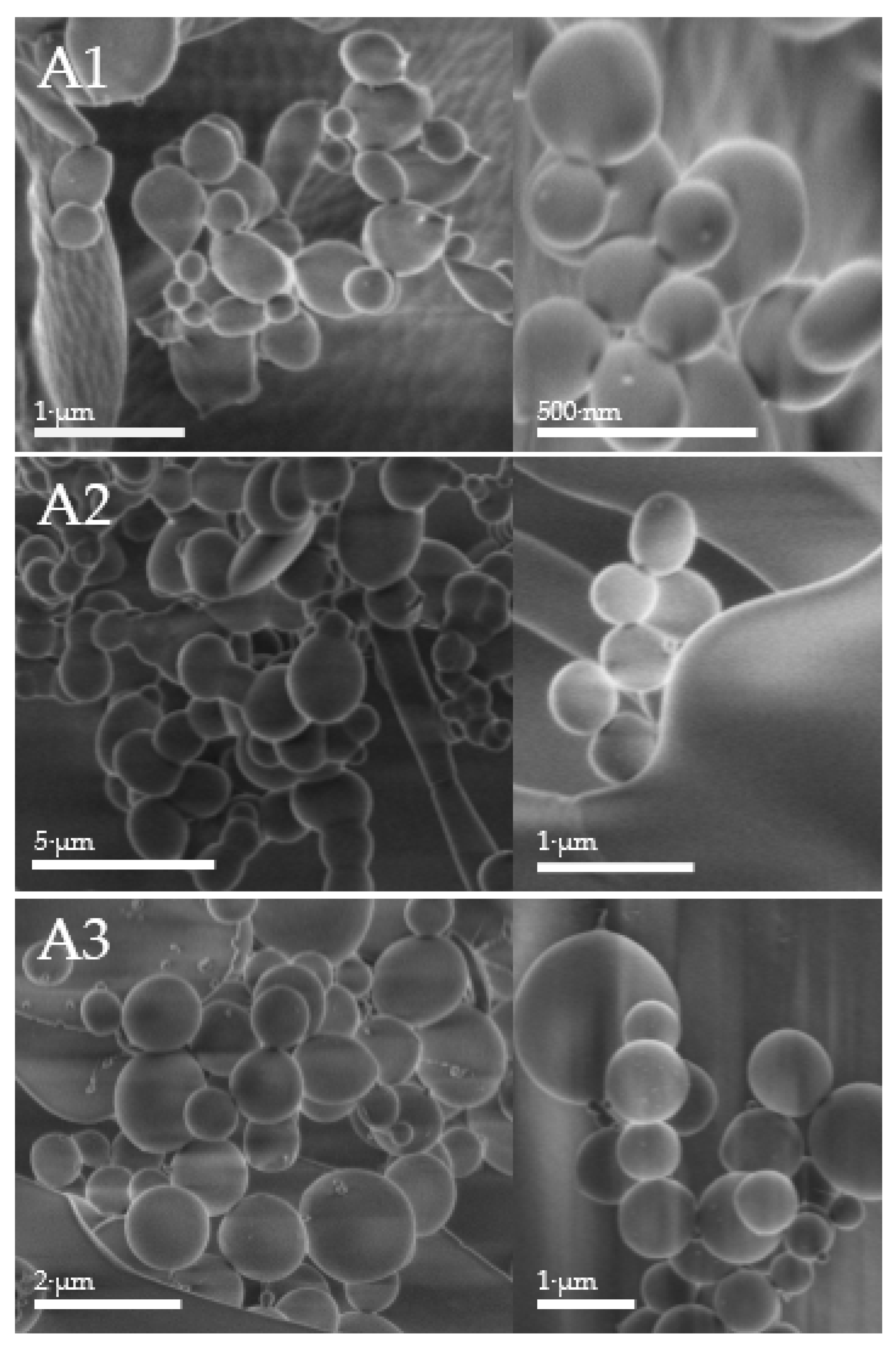 Materials 11 00261 g003