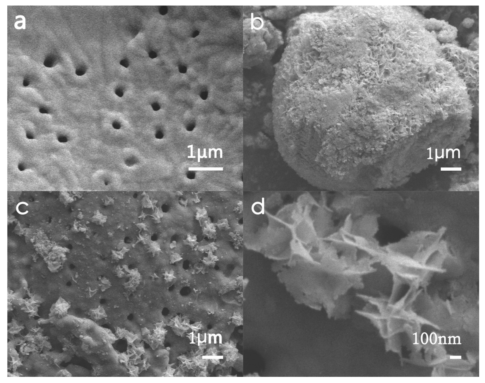 Materials 11 00267 g003