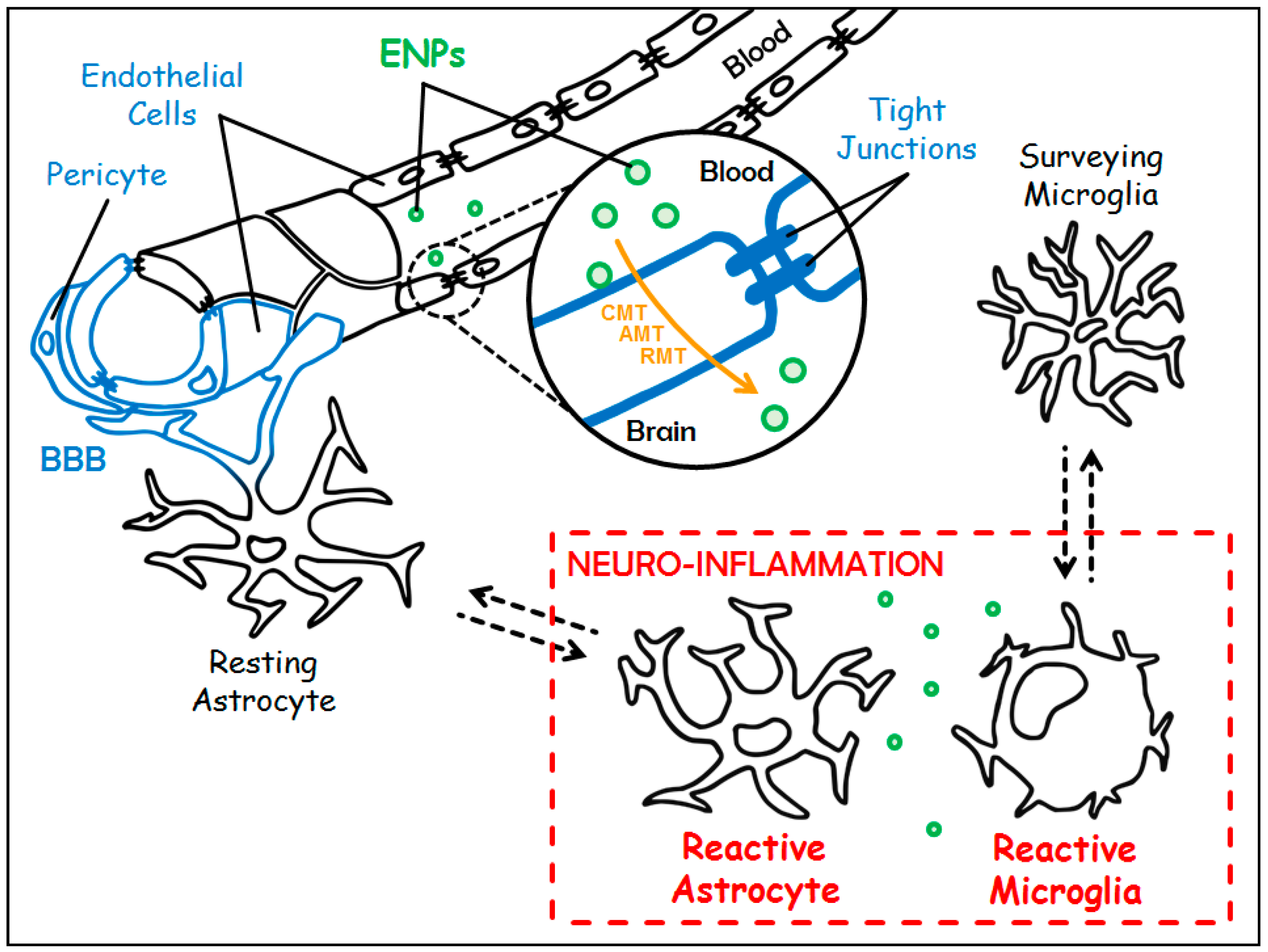 Materials 11 00270 g001