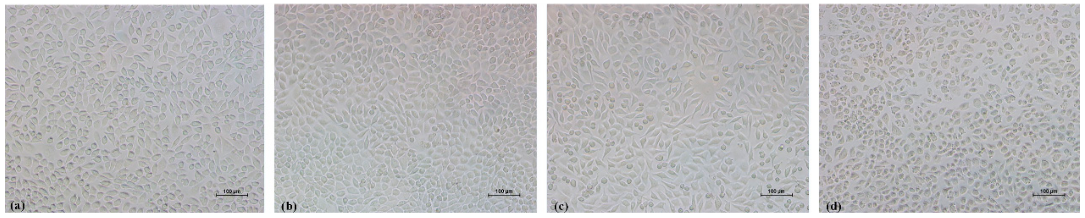 Materials 11 00288 g008