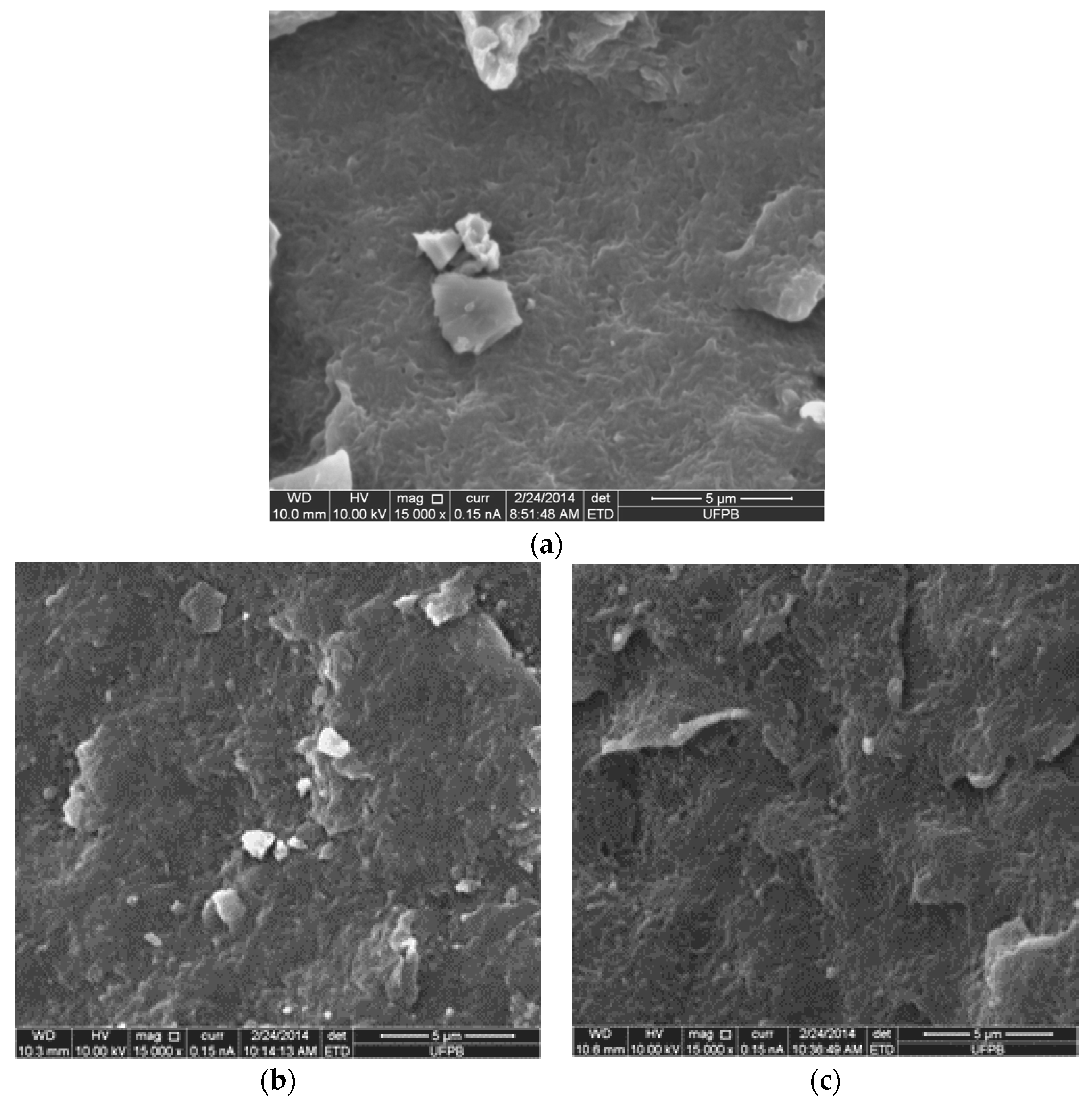 Materials 11 00291 g005 Materials 11 00291 g005
