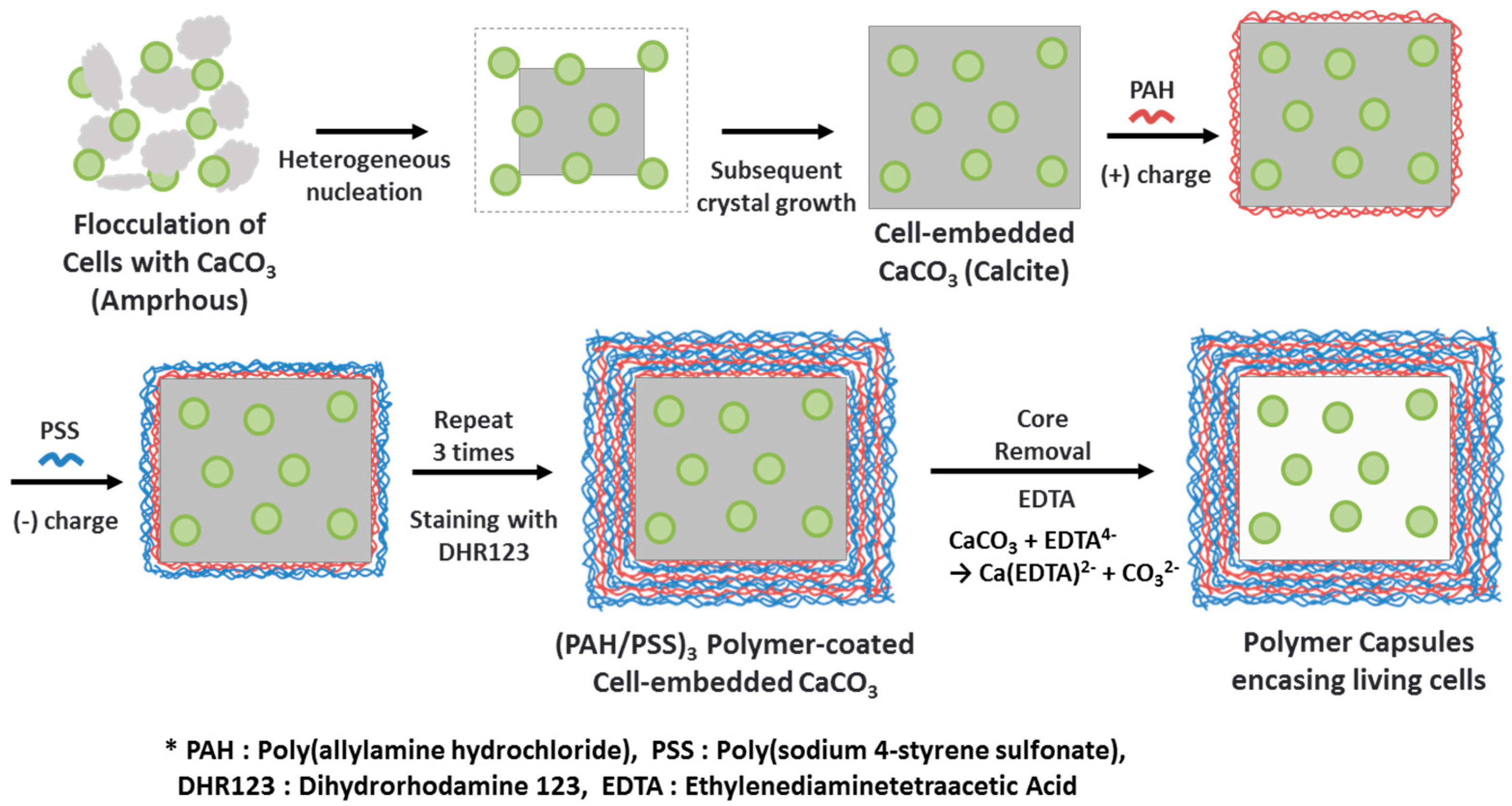 Materials 11 00296 g001