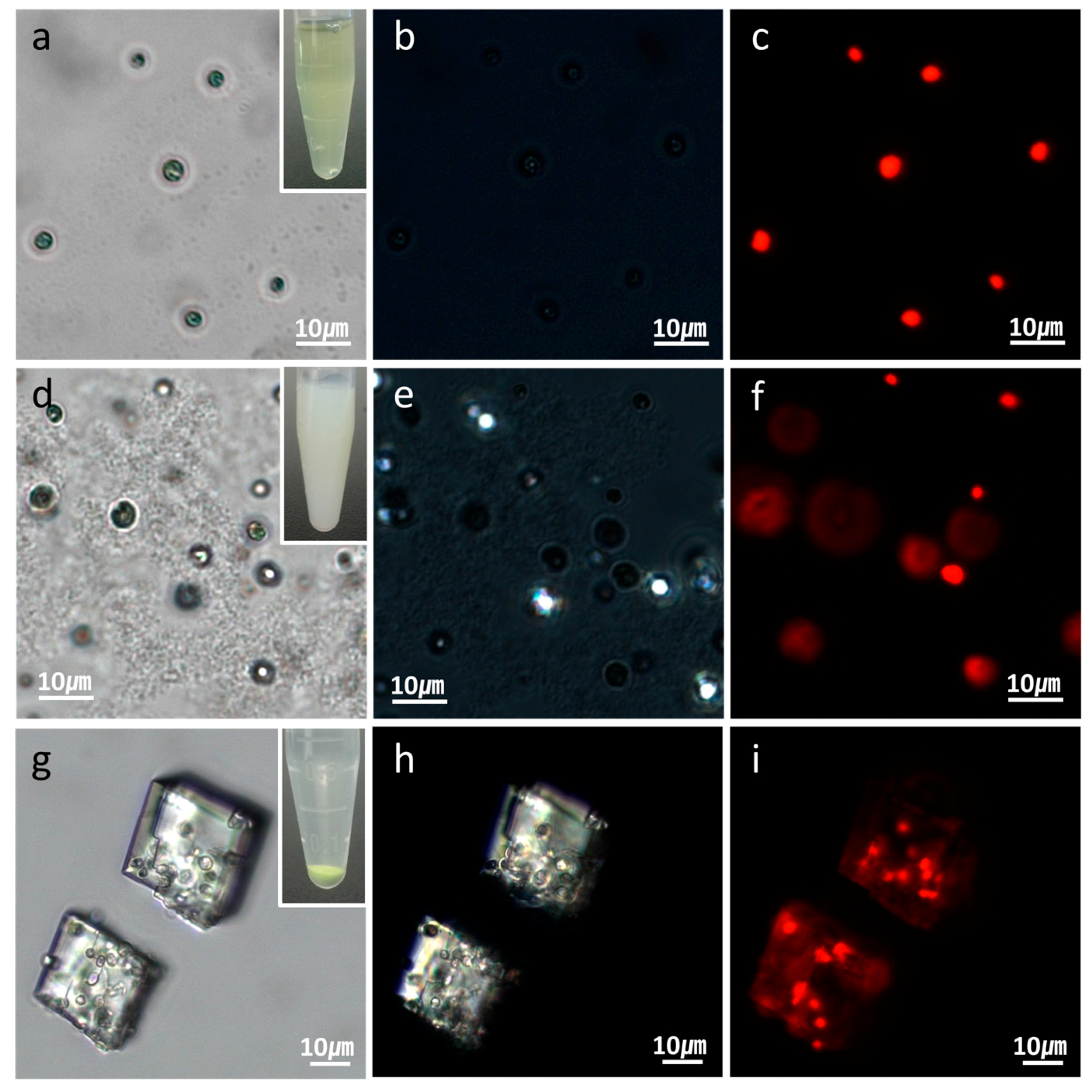 Materials 11 00296 g002