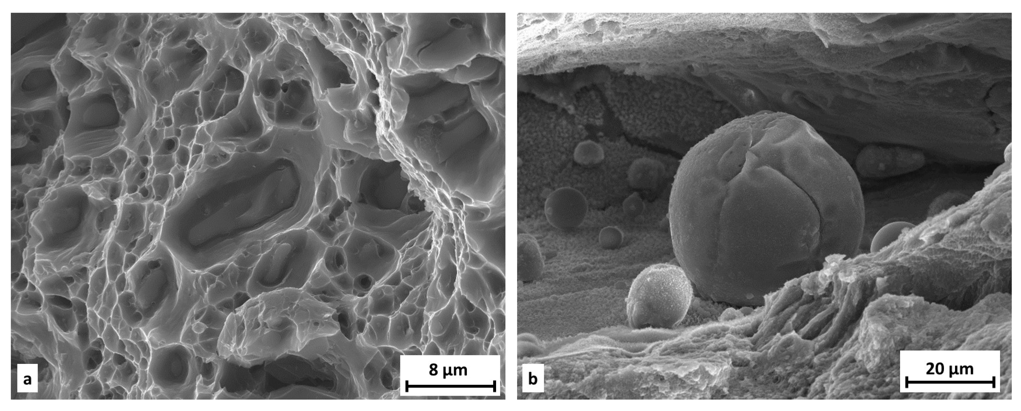 Materials 11 00298 g019