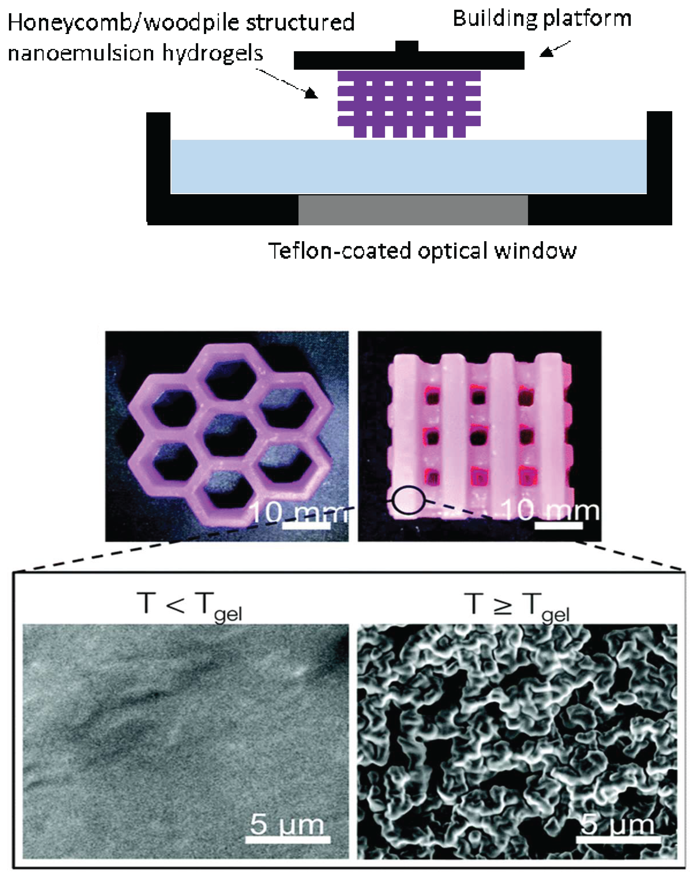 Materials 11 00302 g004