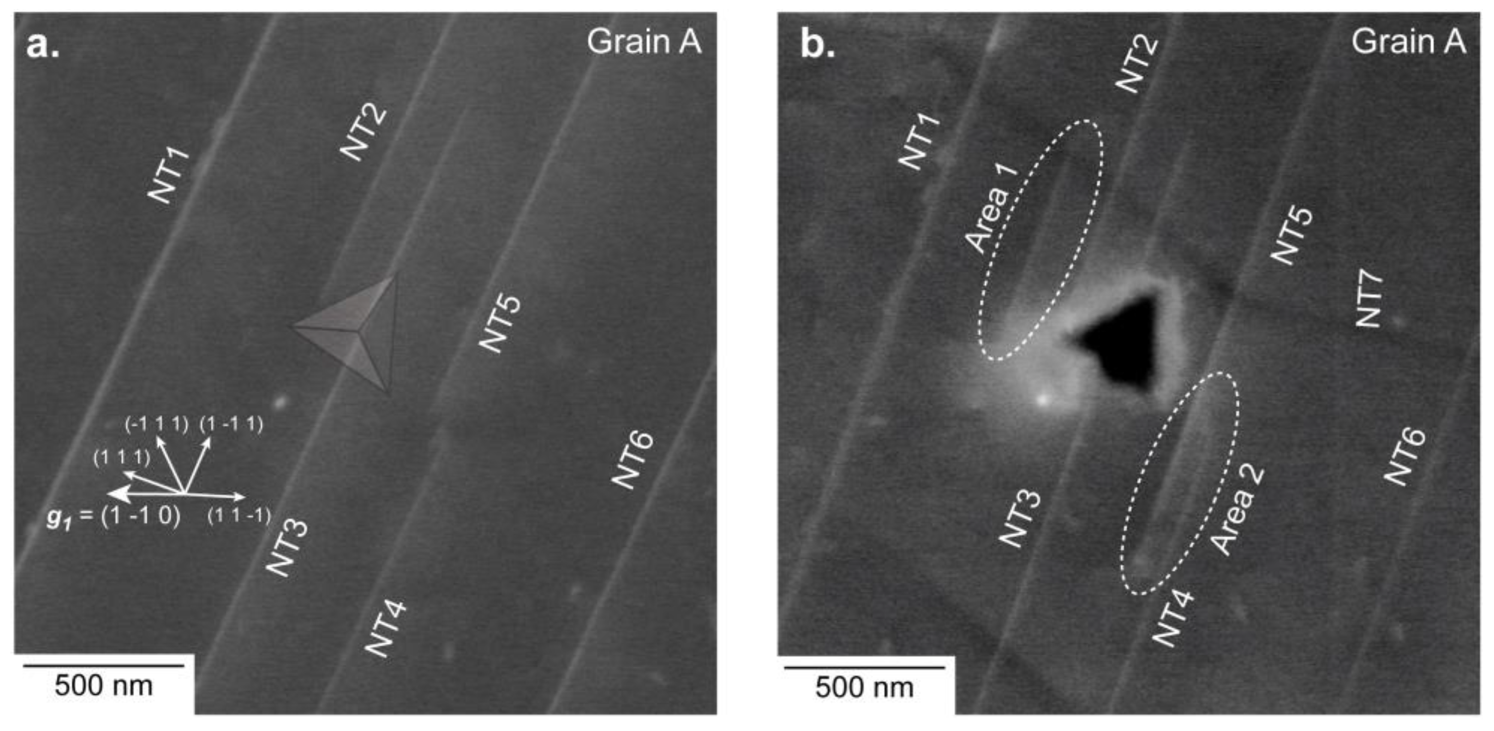 Materials 11 00305 g002
