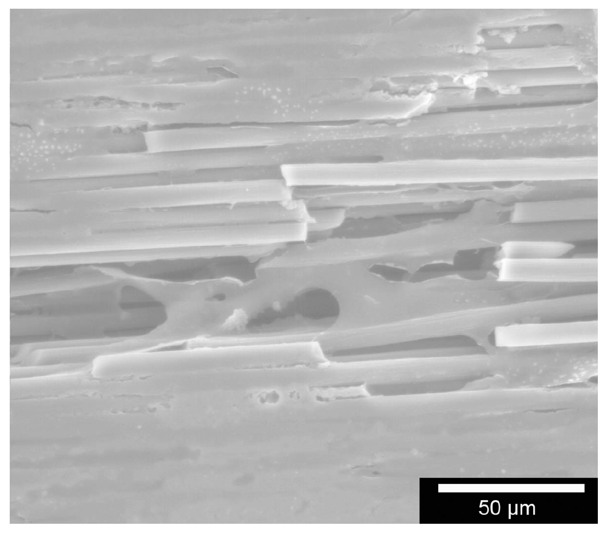 Materials 11 00316 g003