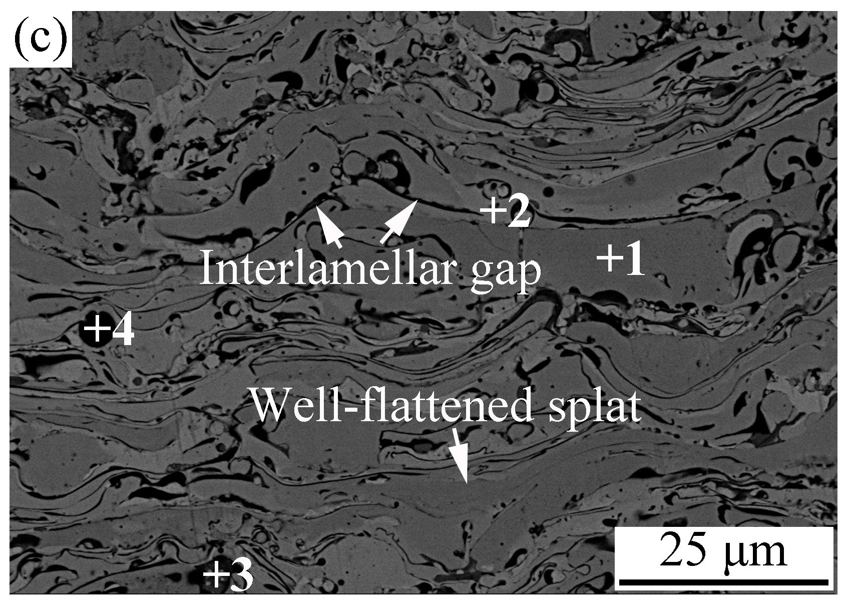 Materials 11 00320 g010b