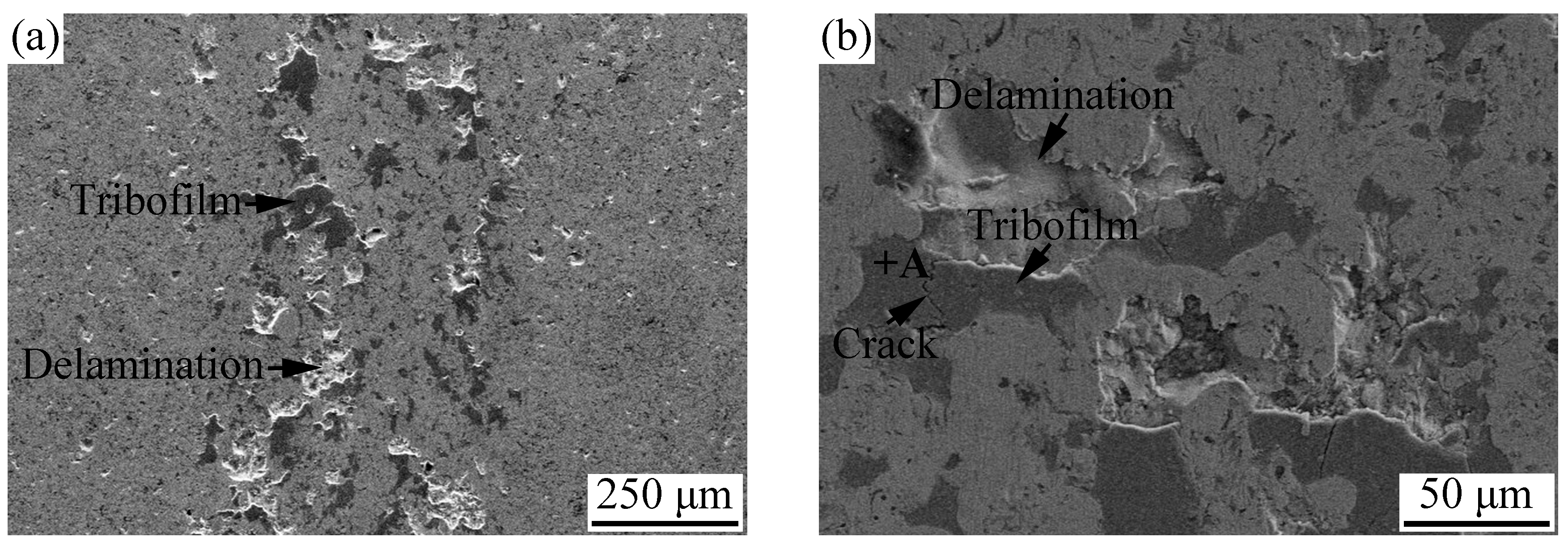 Materials 11 00320 g013a