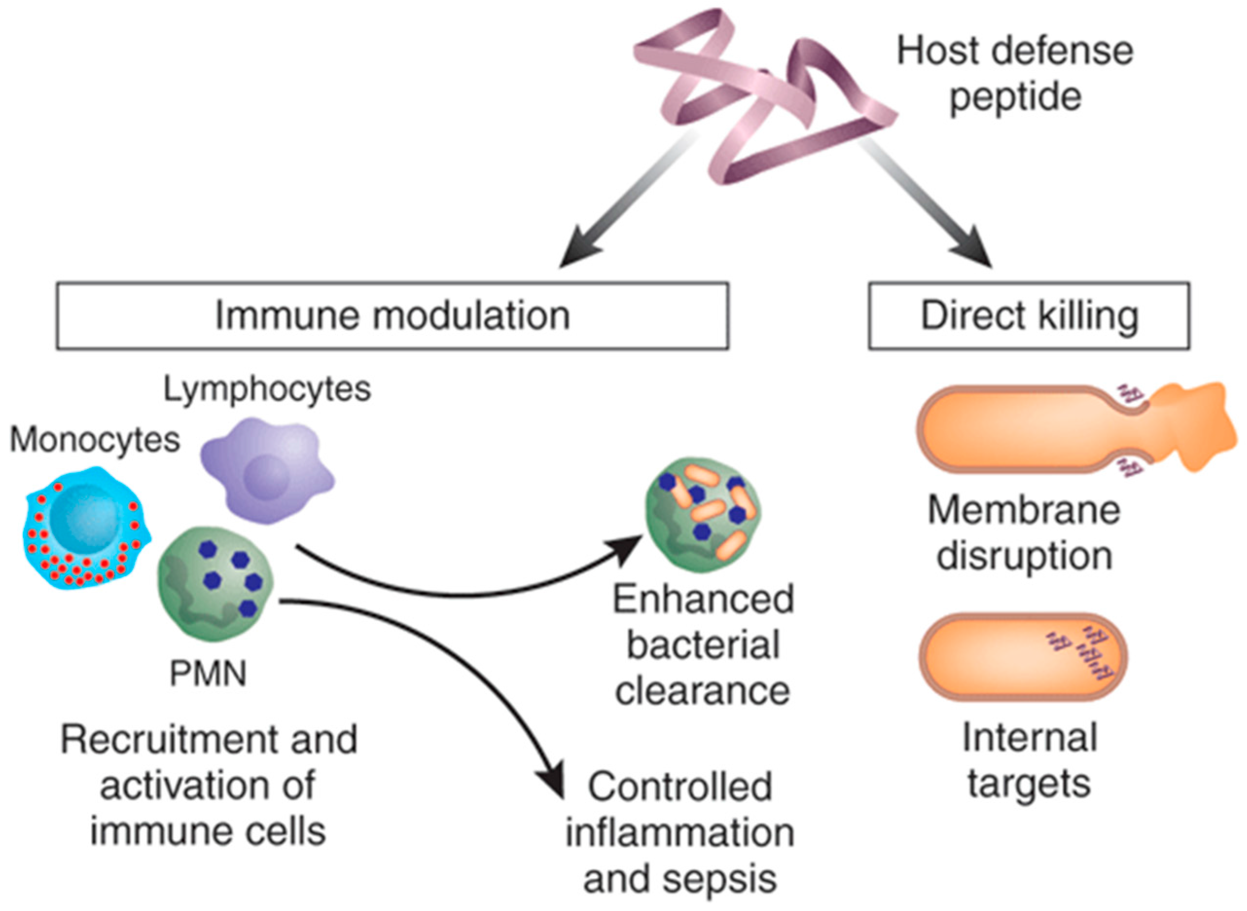 Materials 11 00321 g002