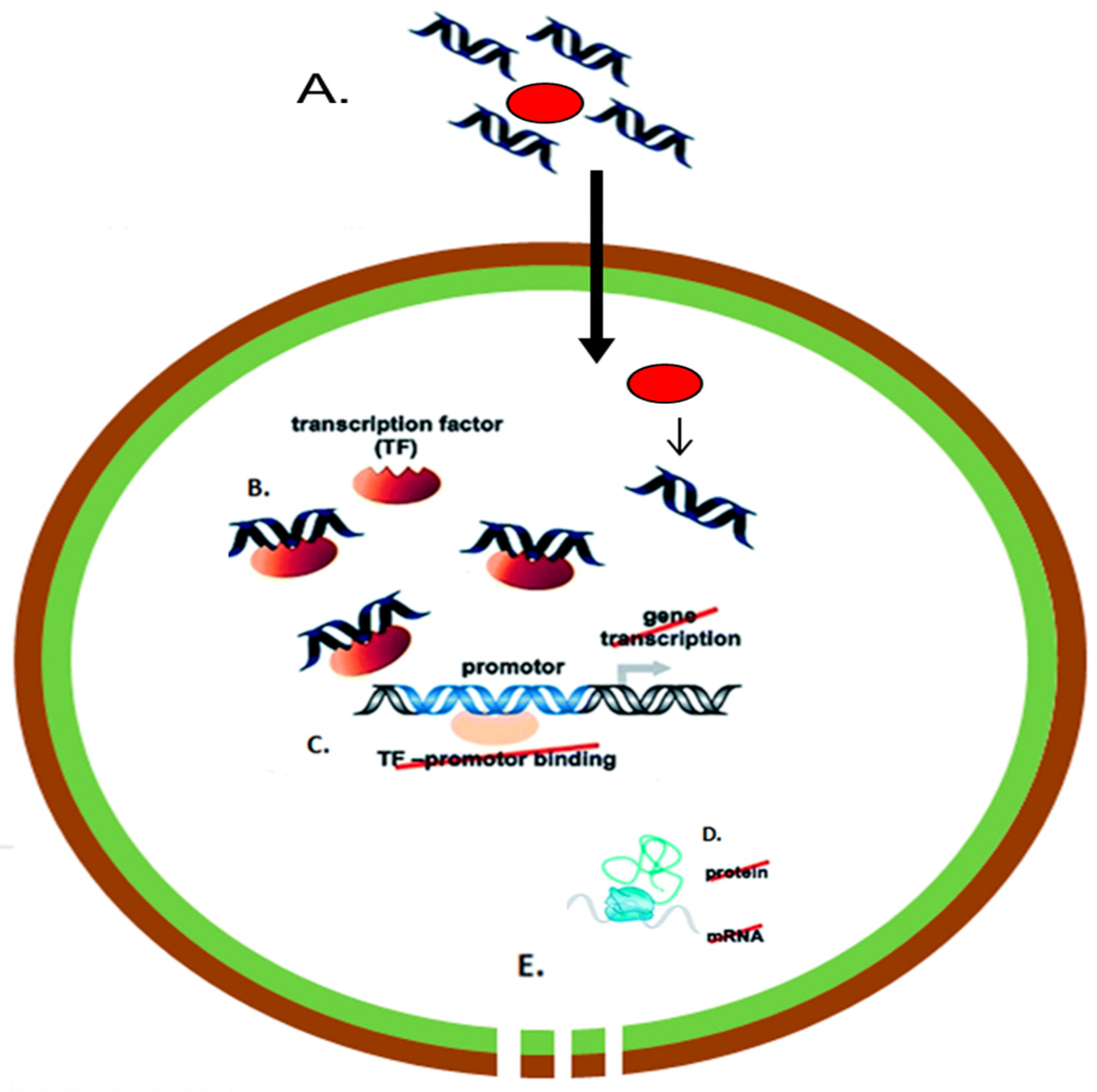 Materials 11 00321 g003