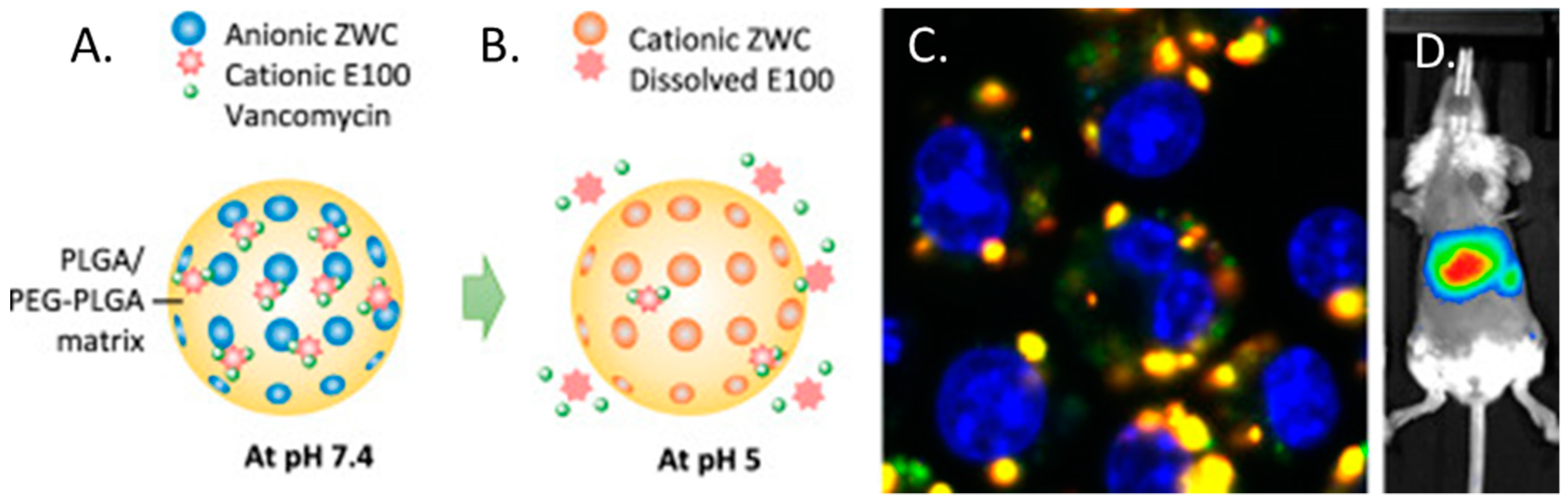 Materials 11 00321 g005