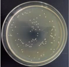 Materials 11 00323 i011