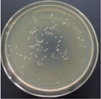 Materials 11 00323 i015