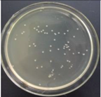 Materials 11 00323 i017