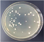 Materials 11 00323 i018