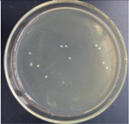 Materials 11 00323 i019