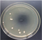 Materials 11 00323 i020