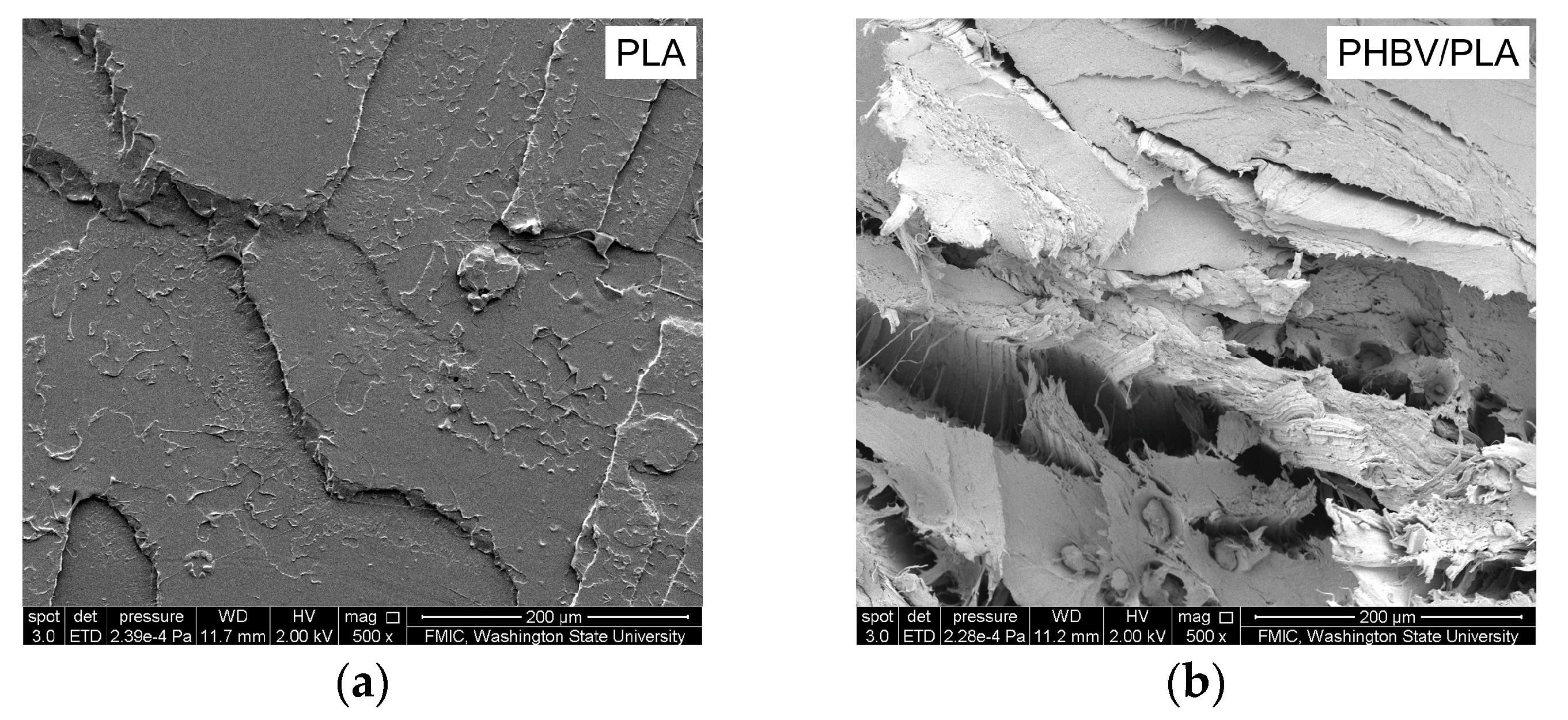 Materials 11 00330 g006