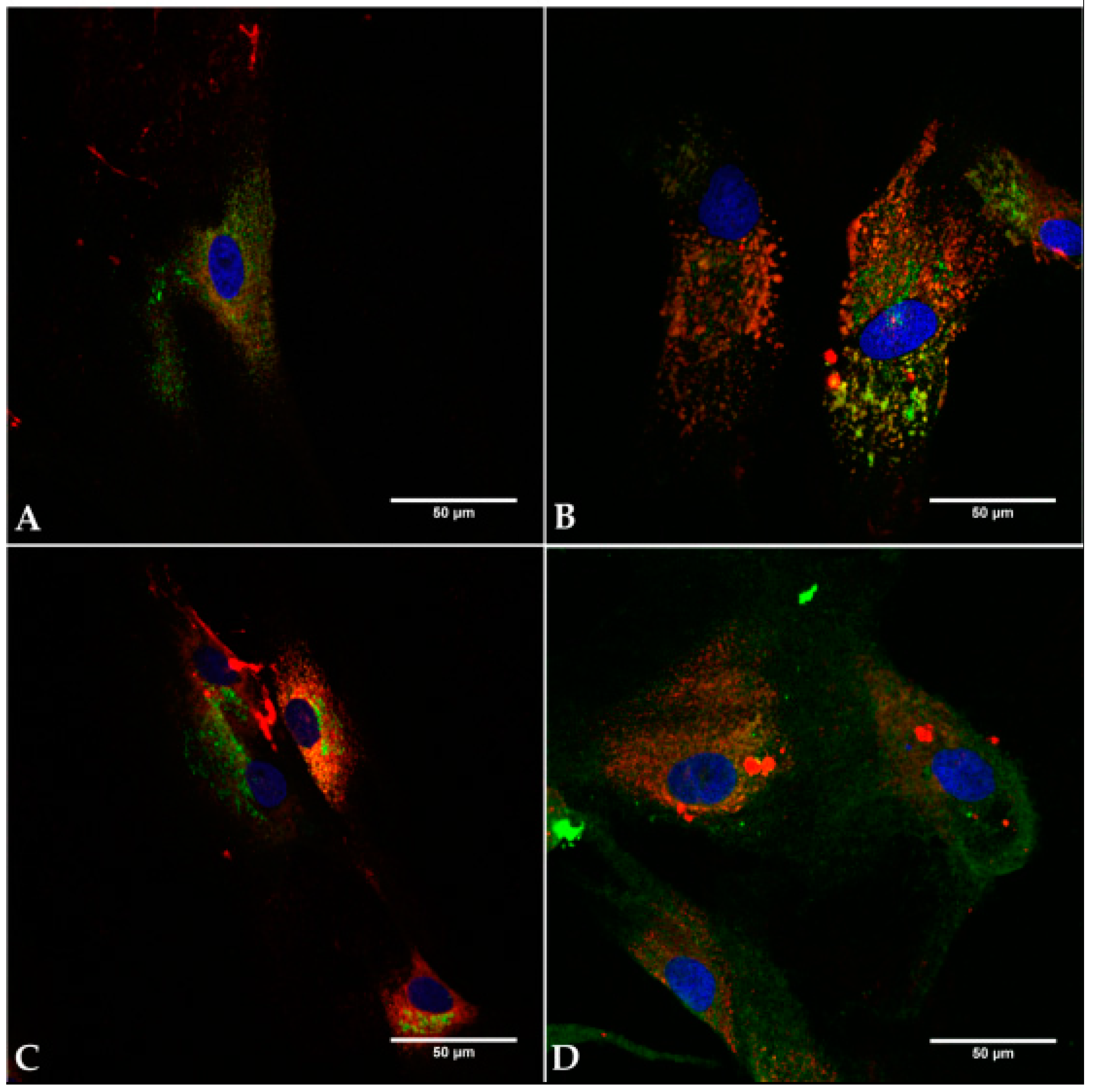 Materials 11 00341 g003