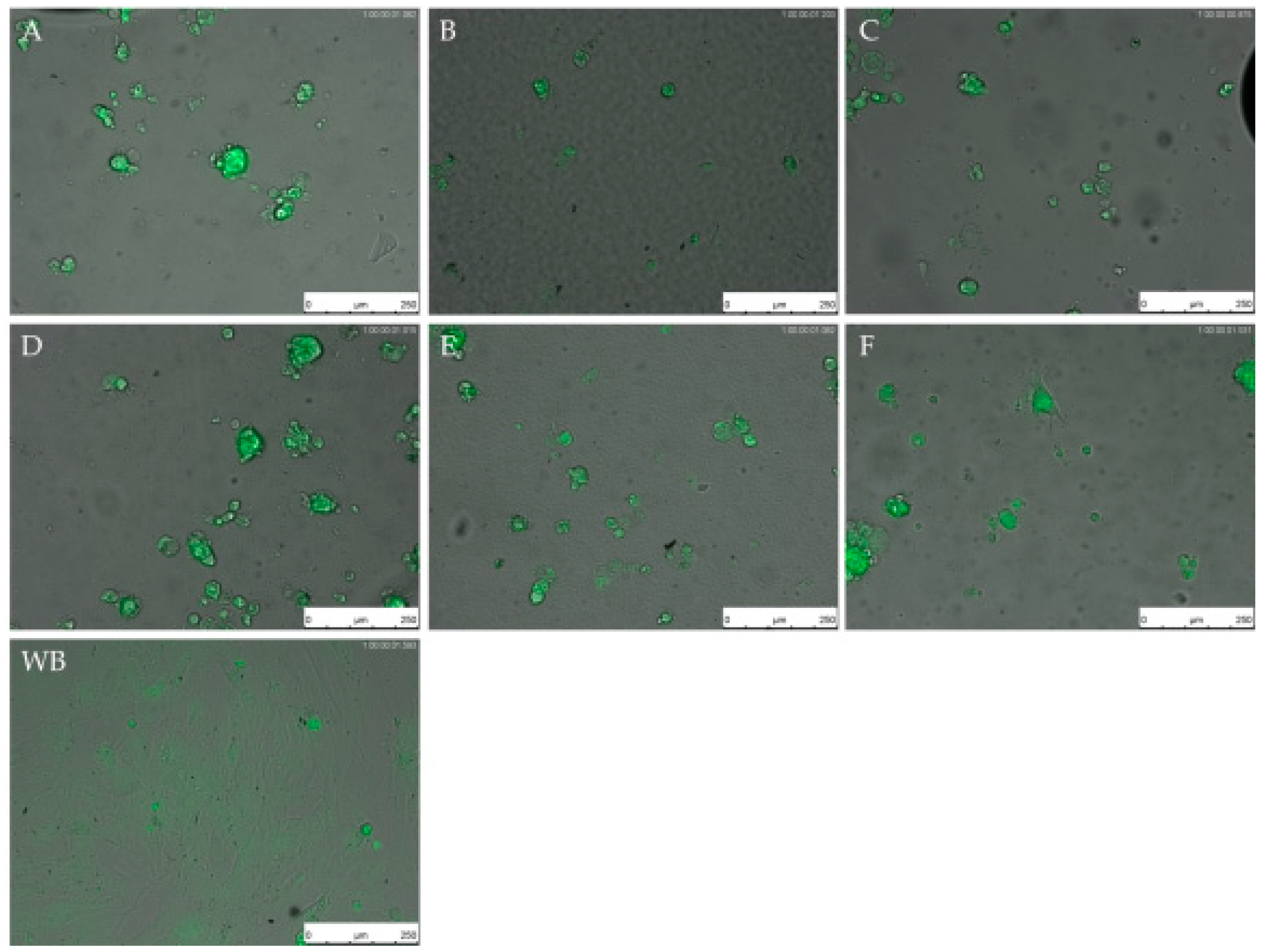 Materials 11 00341 g006