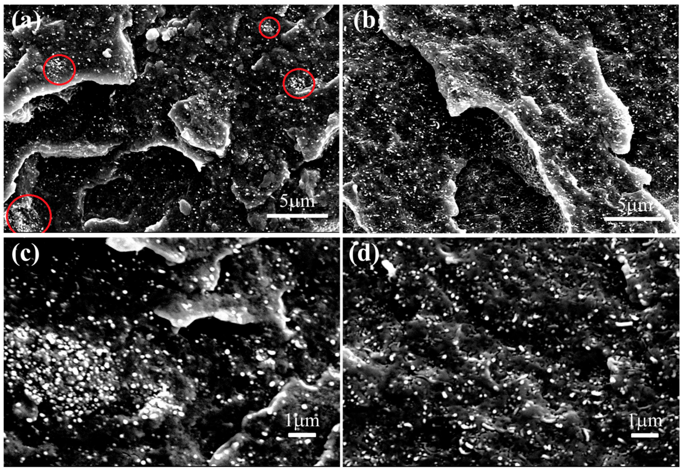 Materials 11 00347 g005