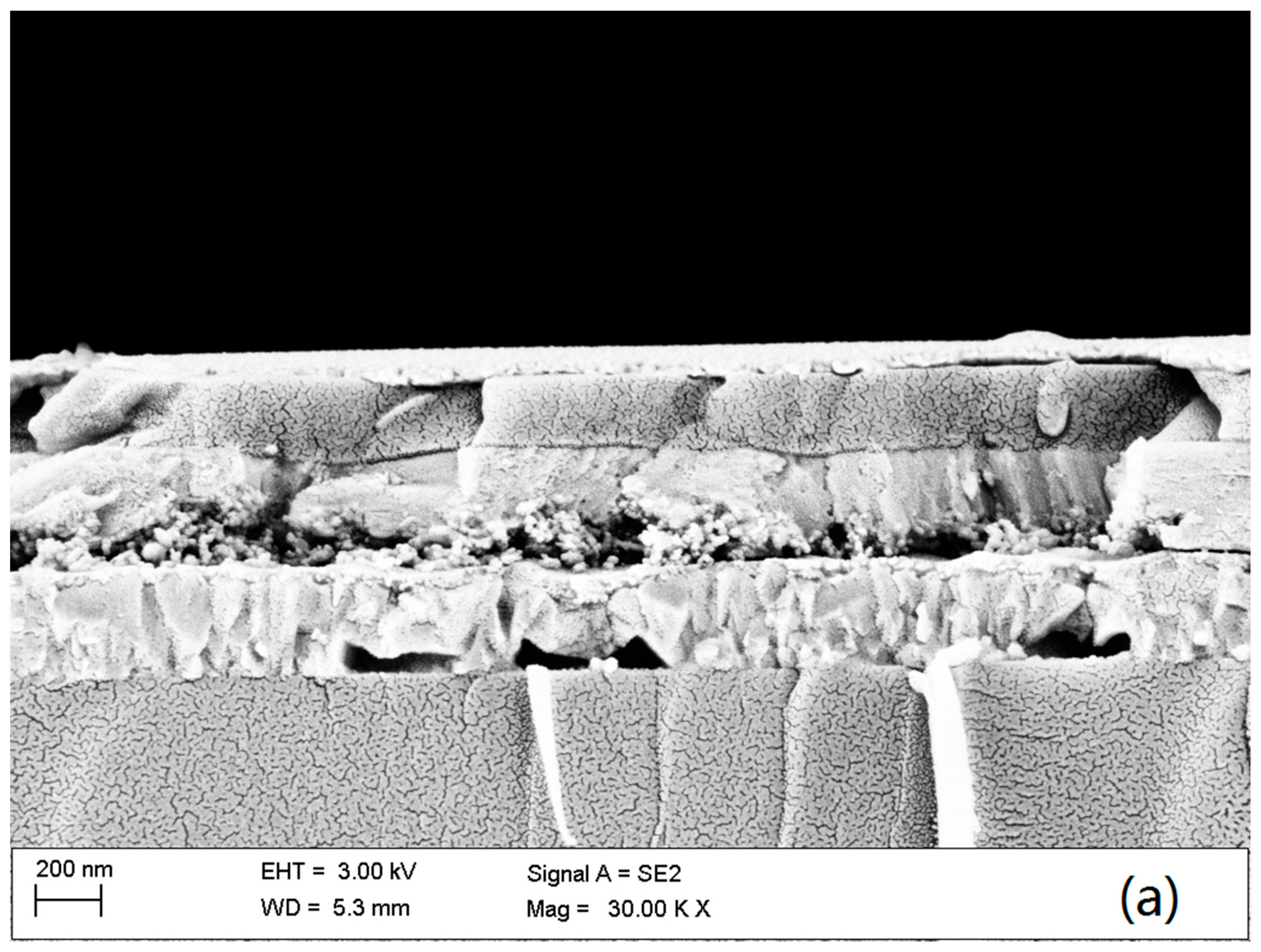 Materials 11 00355 g004a