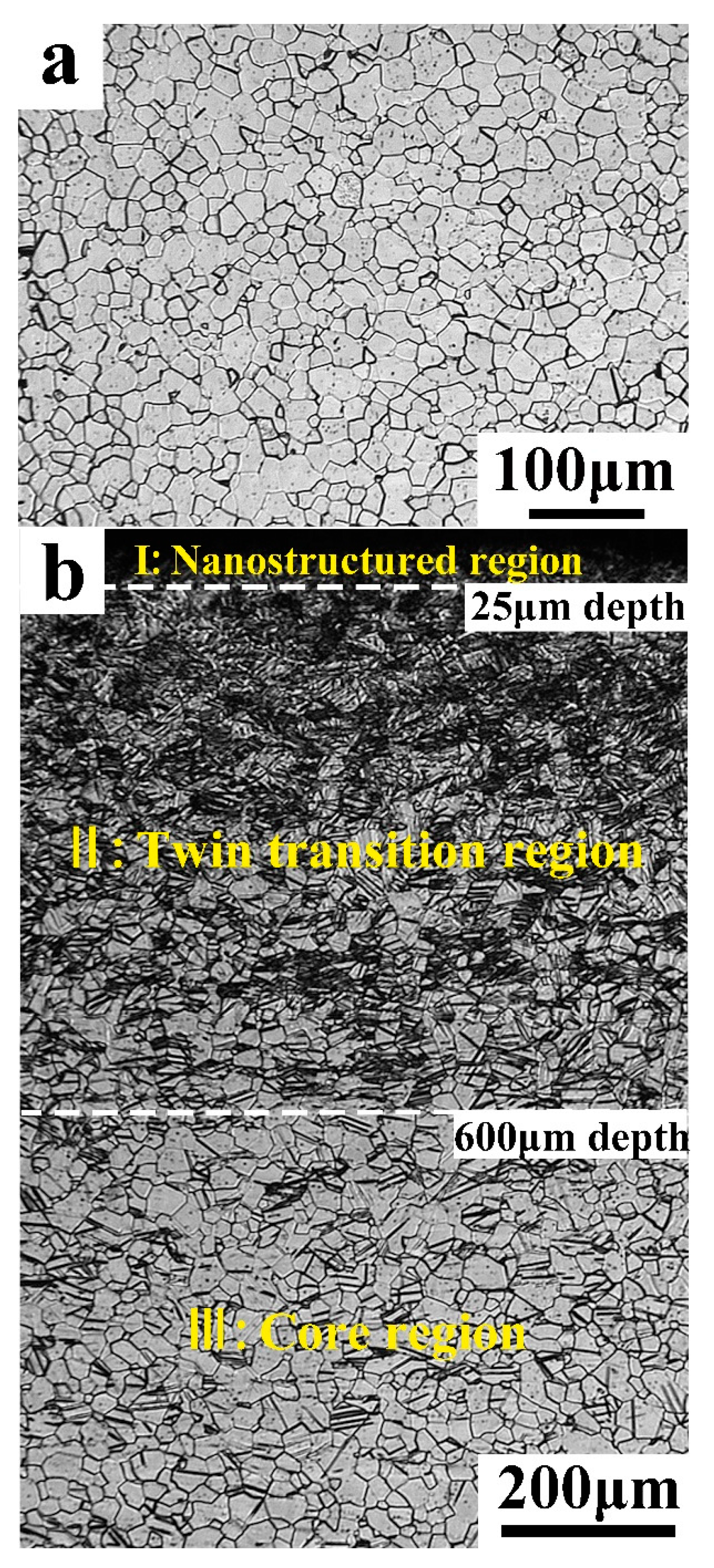 Materials 11 00366 g001 Materials 11 00366 g001