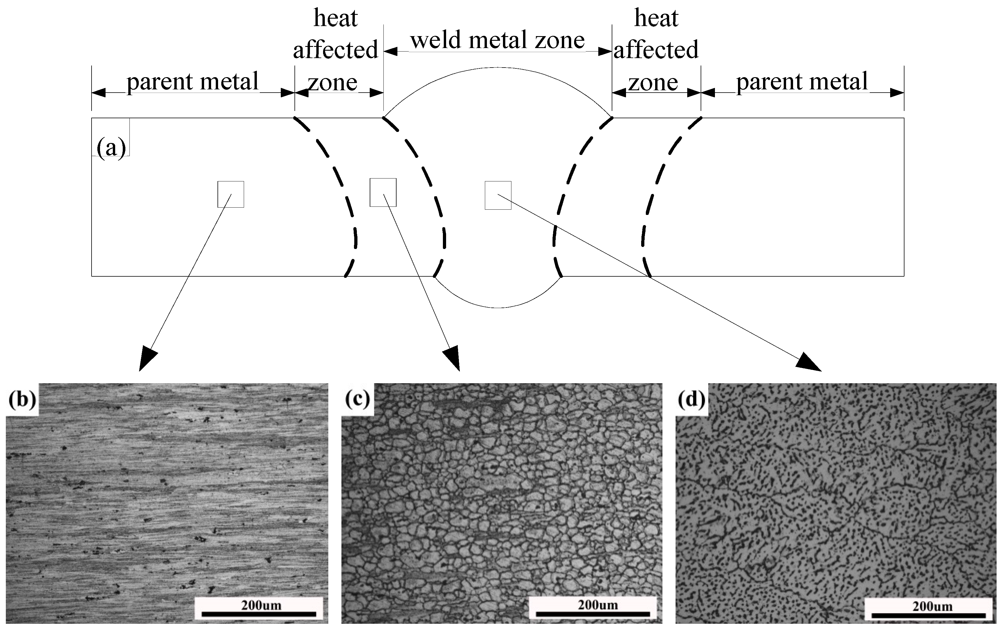 Materials 11 00379 g002