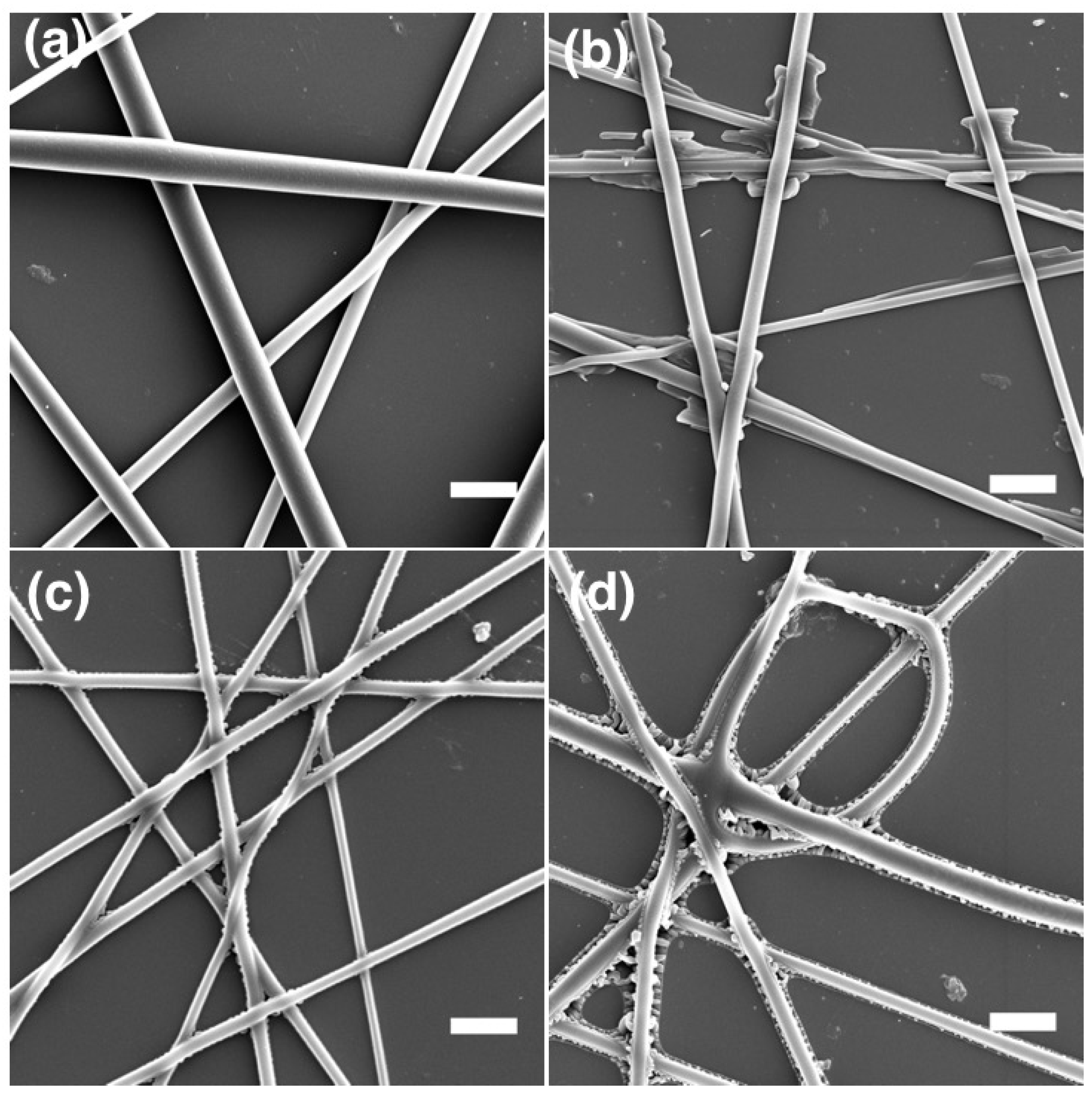 Materials 11 00393 g010 Materials 11 00393 g010