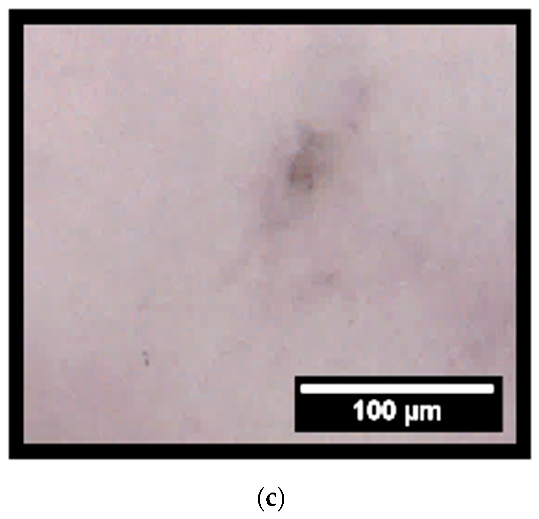 Materials 11 00400 g007b