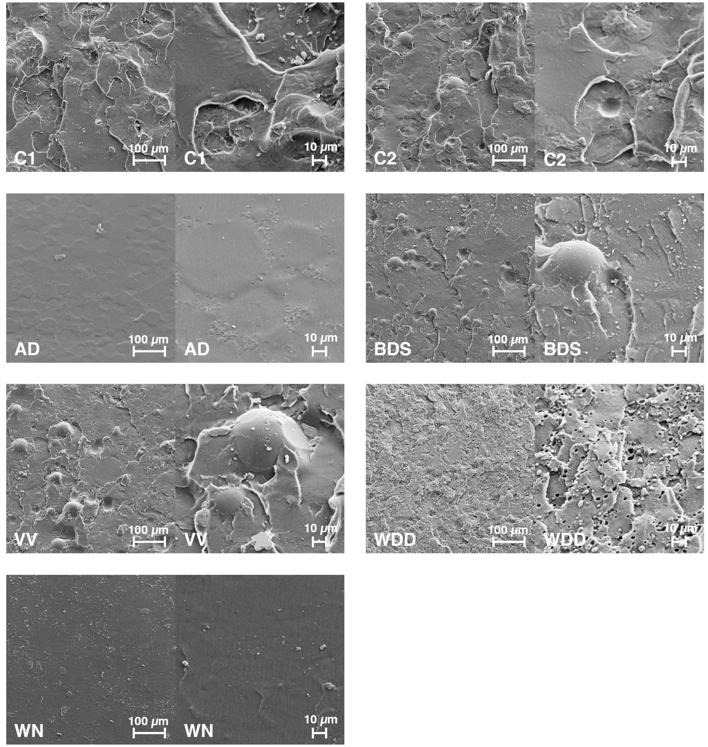 Materials 11 00401 g006